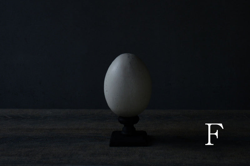 水田典寿 egg object