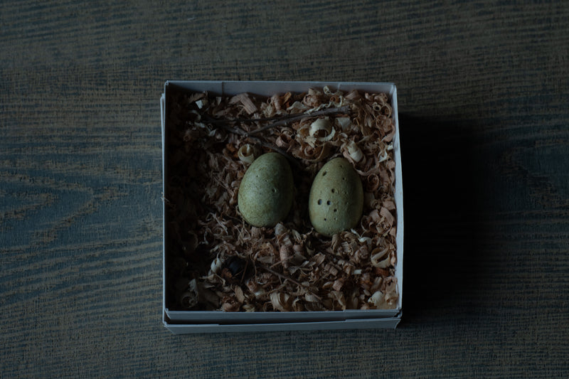 水田典寿 egg object S green