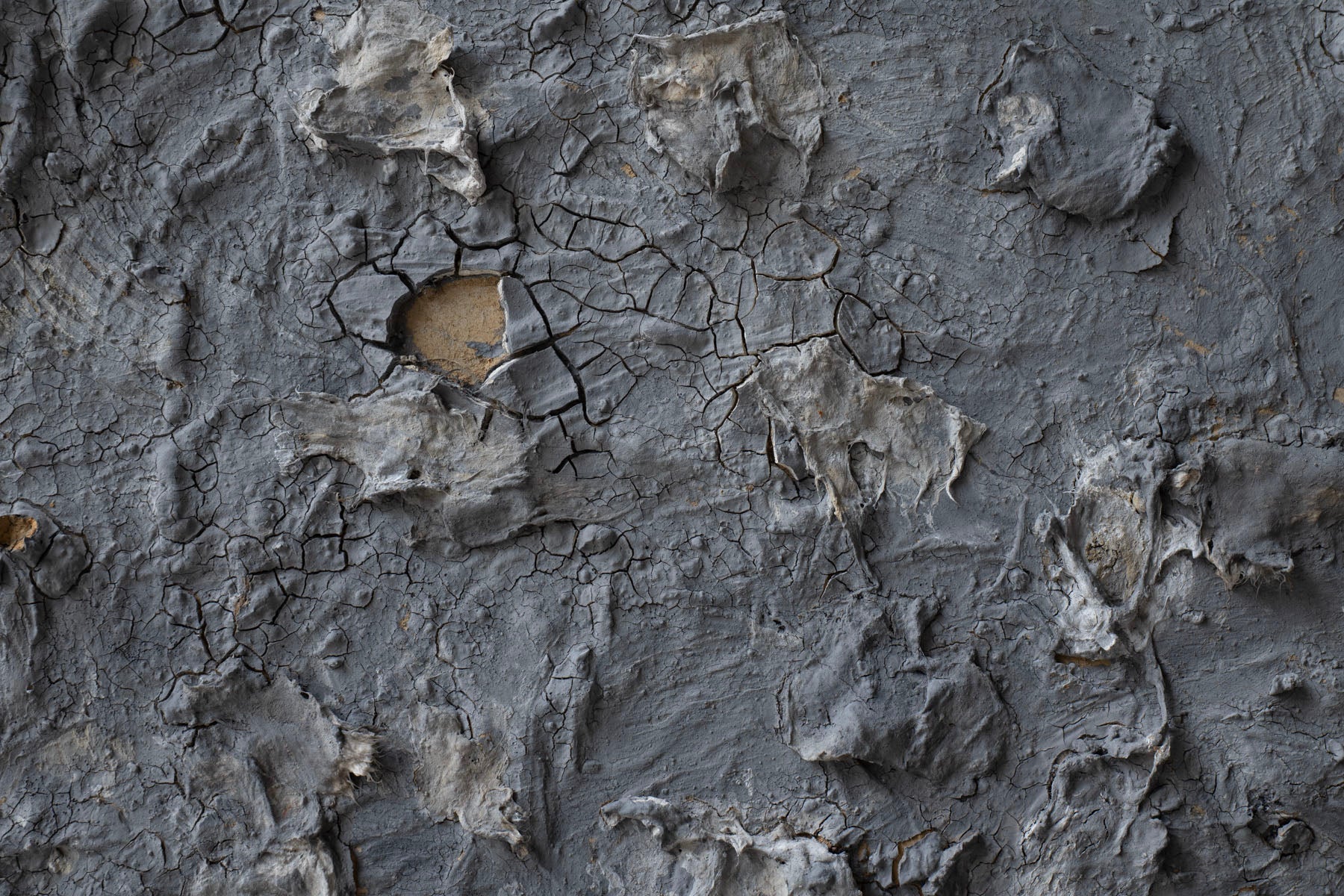 ハタノワタル 積み重なったもの30号 39299896