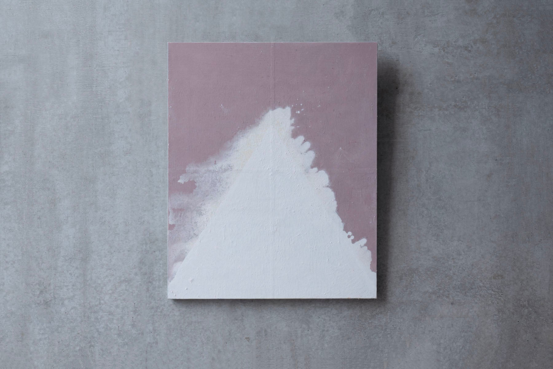 ハタノワタル 領域25号 53050649