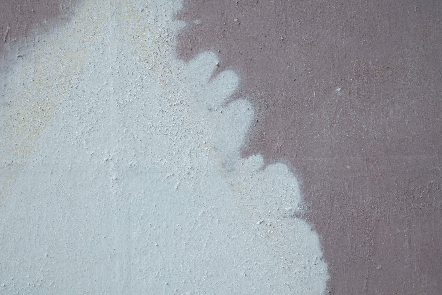 ハタノワタル 領域25号 53050649