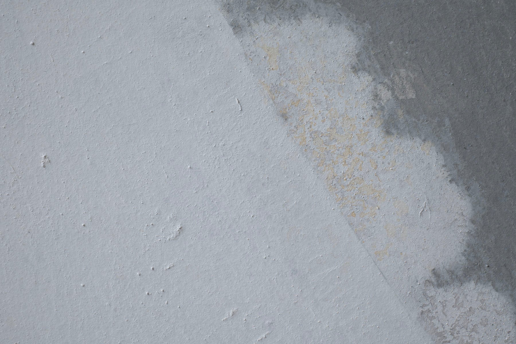 ハタノワタル 領域25号 53050664