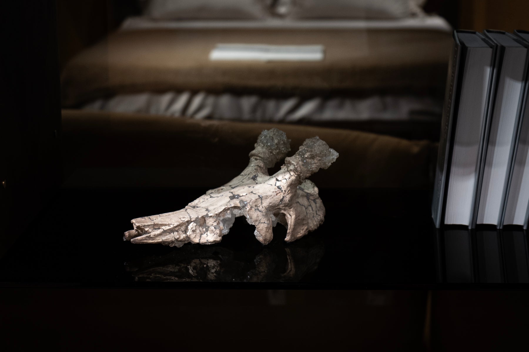 米津真理奈 Contact 08